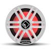 Rockford Fosgate M2D4-10S Marine Subwoofers